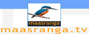 Massranga T
